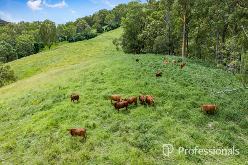 Click to view all images 213 Upper Eel Creek Road Langshaw QLD 4570 - Image 2