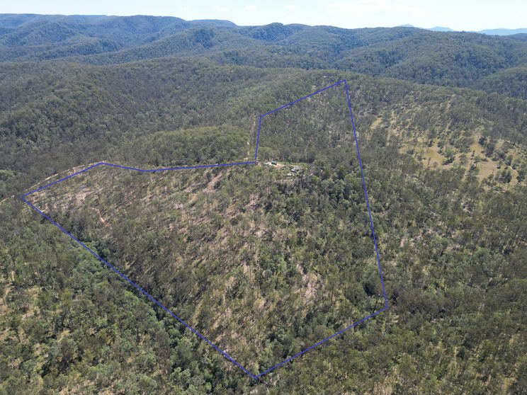 83 Eaglehawk Trail Yarrowitch NSW 2354 - Image 3