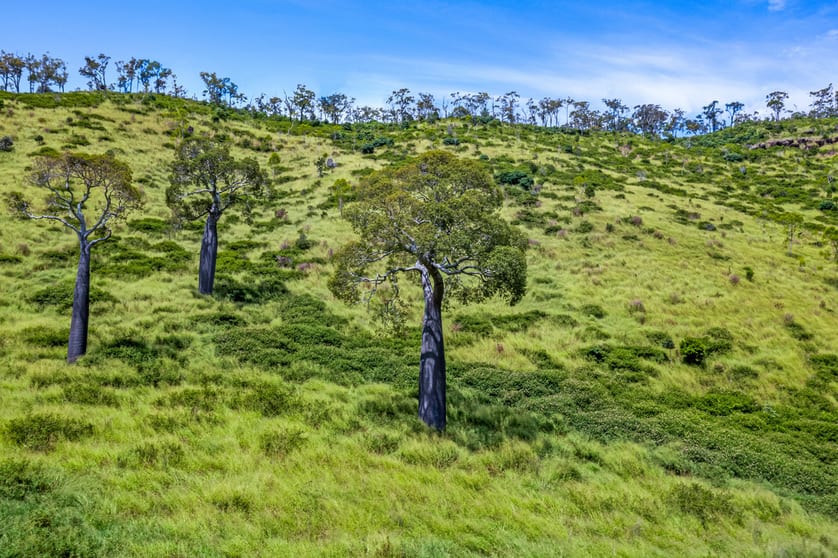 Click to view all images 32/ Armstrong Road West Haldon QLD 4359 - Image 3