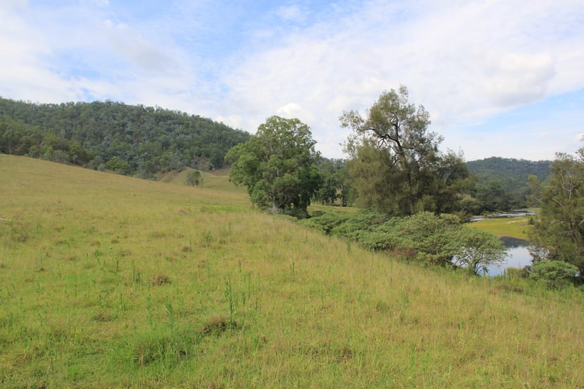 Click to view all images 1272 Rocky River Road Tenterfield NSW 2372 - Image 3