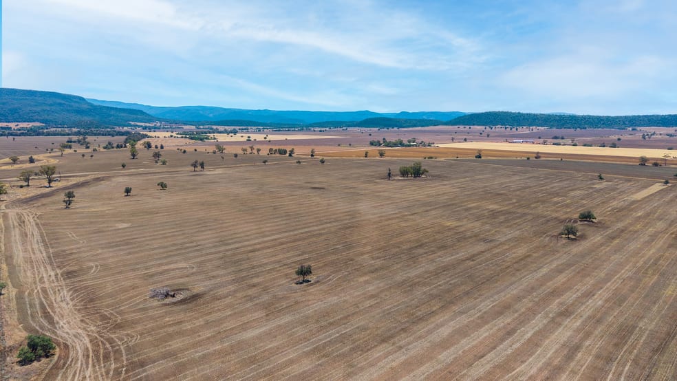 "Avoca East" 2293 Maules Creek Road Narrabri NSW 2390 - Image 3