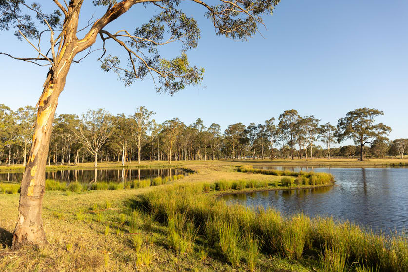 Click to view all images 164 Quorrobolong Road Kitchener NSW 2325 - Image 3