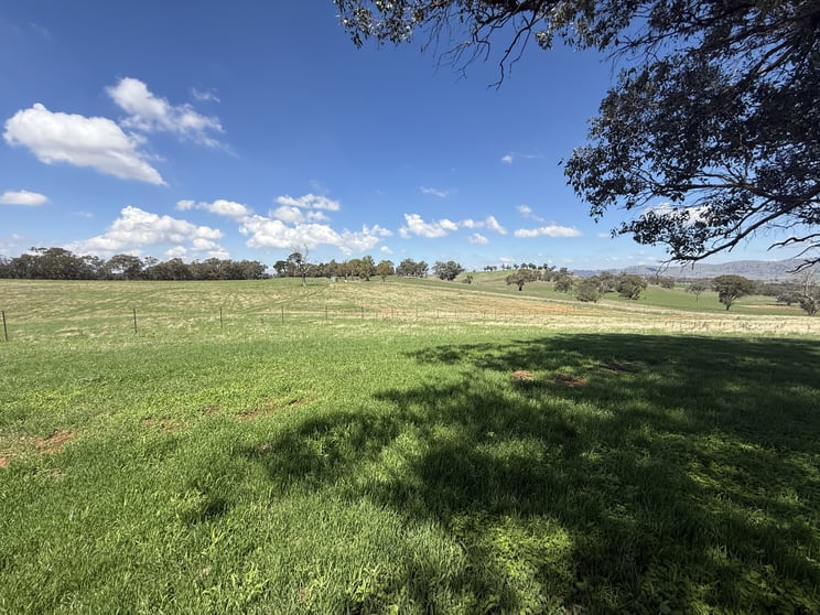 Click to view all images Lot 172 & 173 Reynolds Lane Binalong NSW 2584 - Image 1