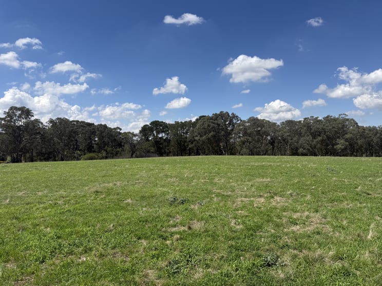 Click to view all images Lot 172 & 173 Reynolds Lane Binalong NSW 2584 - Image 2