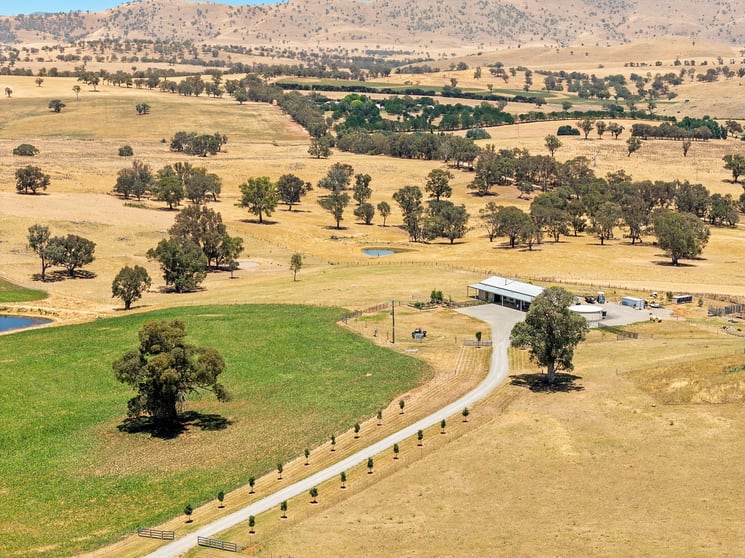 Click to view all images 98 Reynolds Lane Binalong NSW 2584 - Image 2