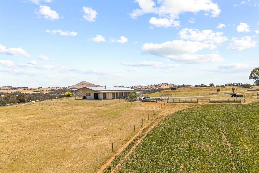 Click to view all images 98 Reynolds Lane Binalong NSW 2584 - Image 3