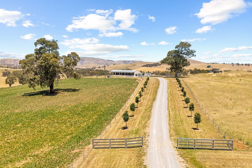Click to view all images 98 Reynolds Lane Binalong NSW 2584 - Image 1