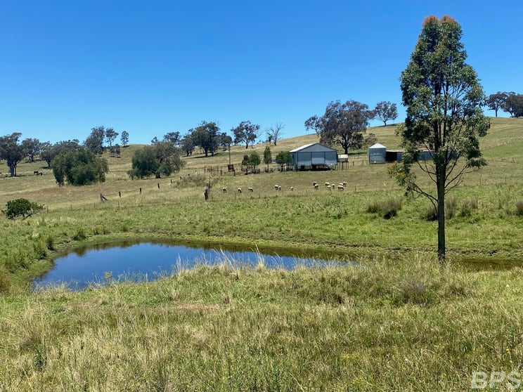 Click to view all images 243 Mount Lindesay Rd Lindesay NSW 2347 - Image 3