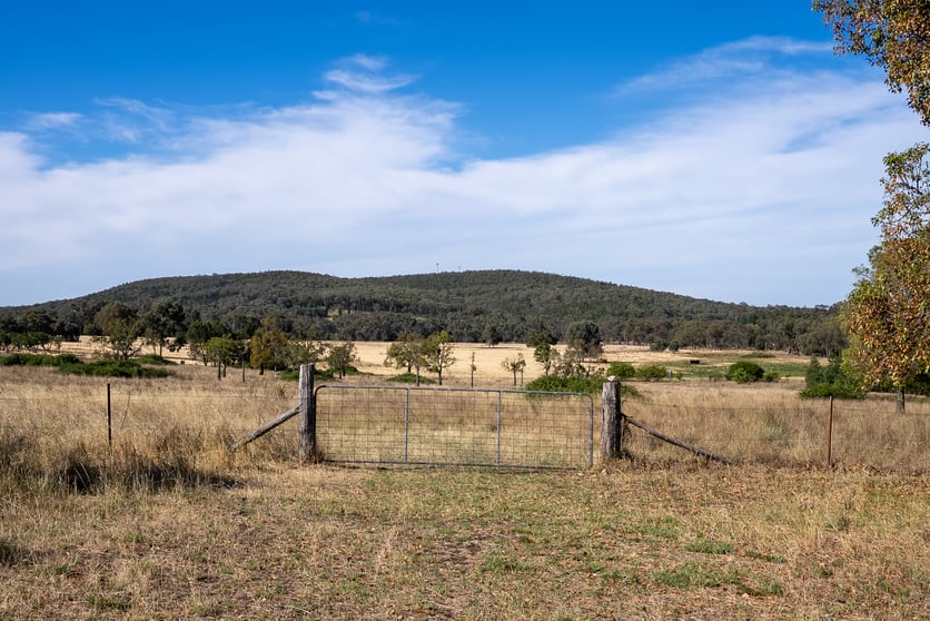 Click to view all images 112 Sandy Creek Road Molong NSW 2866 - Image 2
