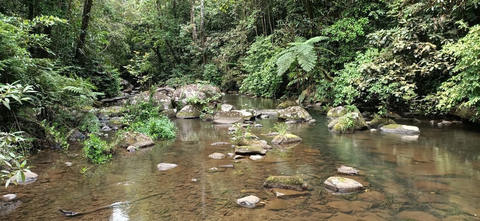 Click to view all images 9 Middlebrook Rd Millaa Millaa QLD 4886 - Image 1