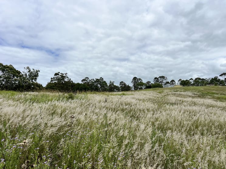 905 Mary Valley Road Lagoon Pocket QLD 4570 - Image 2