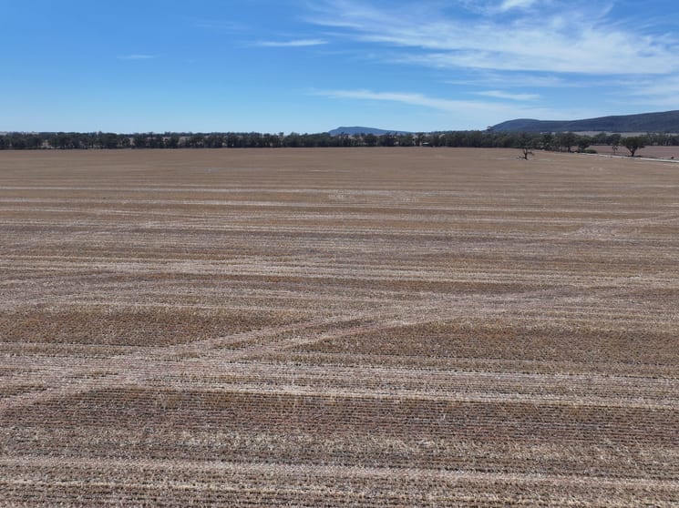 Click to view all images 'Nolens' 5000 Barellan Road Colinroobie NSW 2700 - Image 2