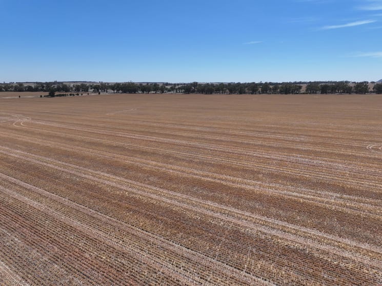Click to view all images 'Nolens' 5000 Barellan Road Colinroobie NSW 2700 - Image 3
