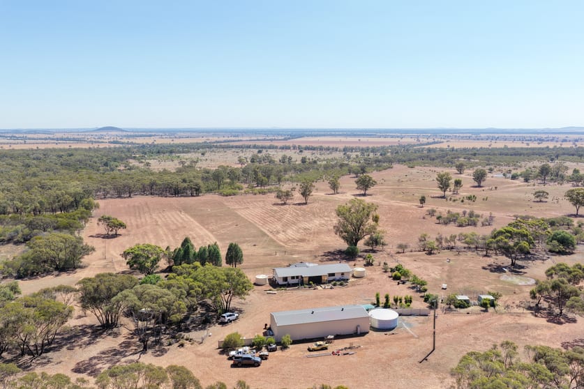 'Milbee Hill' 6318 Lake Cargelligo Road Condobolin NSW 2877 - Image 2
