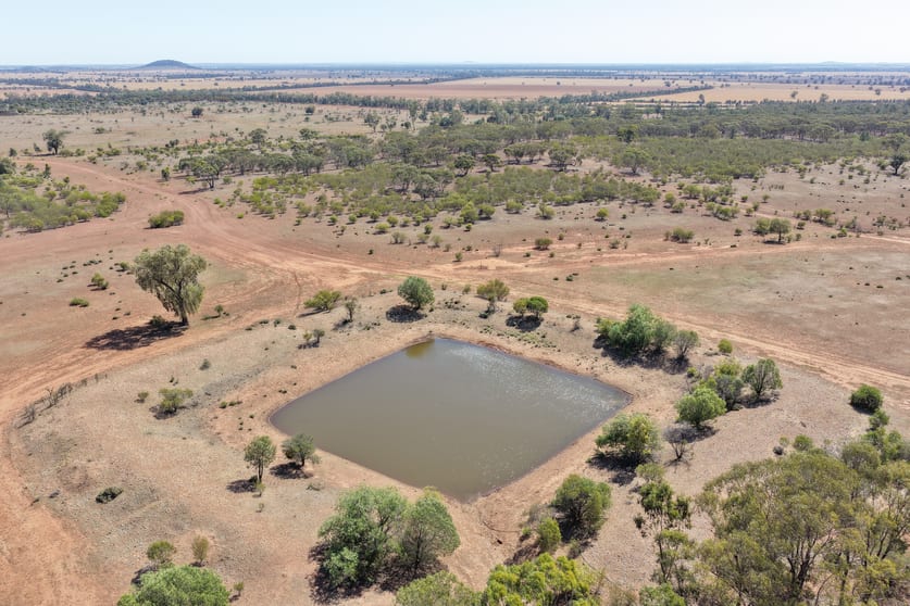 'Milbee Hill' 6318 Lake Cargelligo Road Condobolin NSW 2877 - Image 3