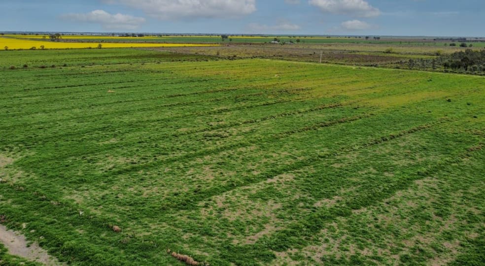 Click to view all images 1D McAlister Road Benjeroop VIC 3579 - Image 3
