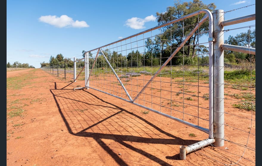 Click to view all images 'Black Range' 2880 Tallebung Road Eremerang NSW 2877 - Image 3