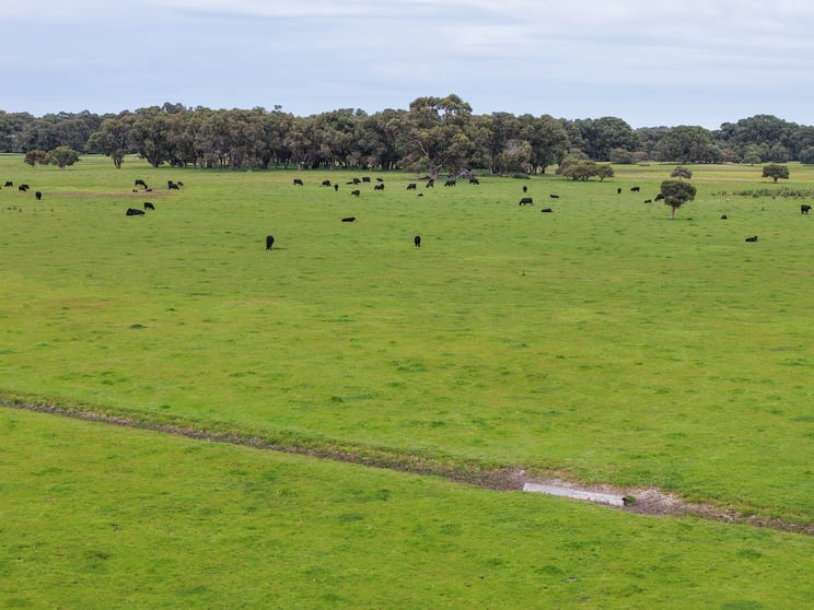 1498, 1504 Harris Road Myalup WA 6220 - Image 2