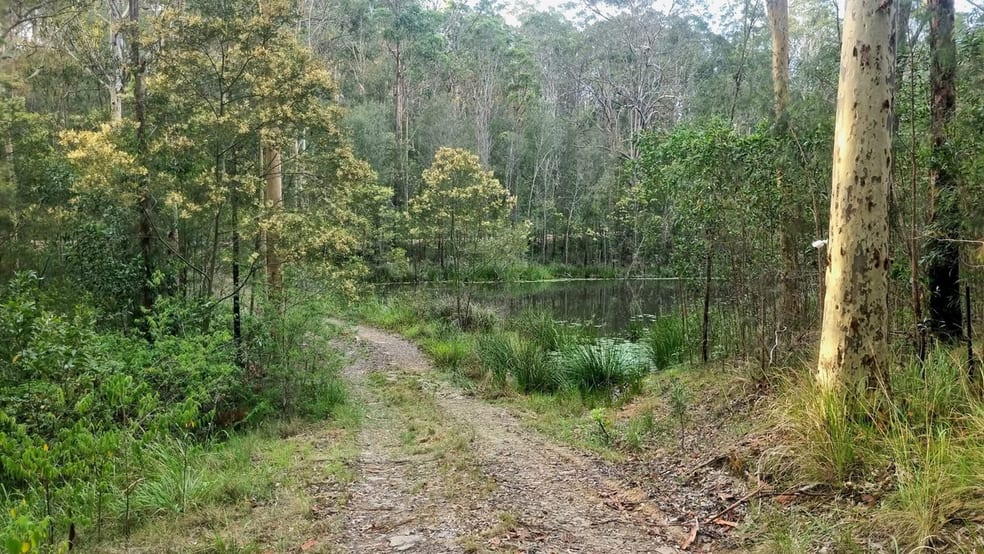 Click to view all images 23/ Mud Flat Road Drake NSW 2469 - Image 1