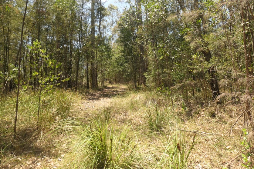 Click to view all images 23/ Mud Flat Road Drake NSW 2469 - Image 2