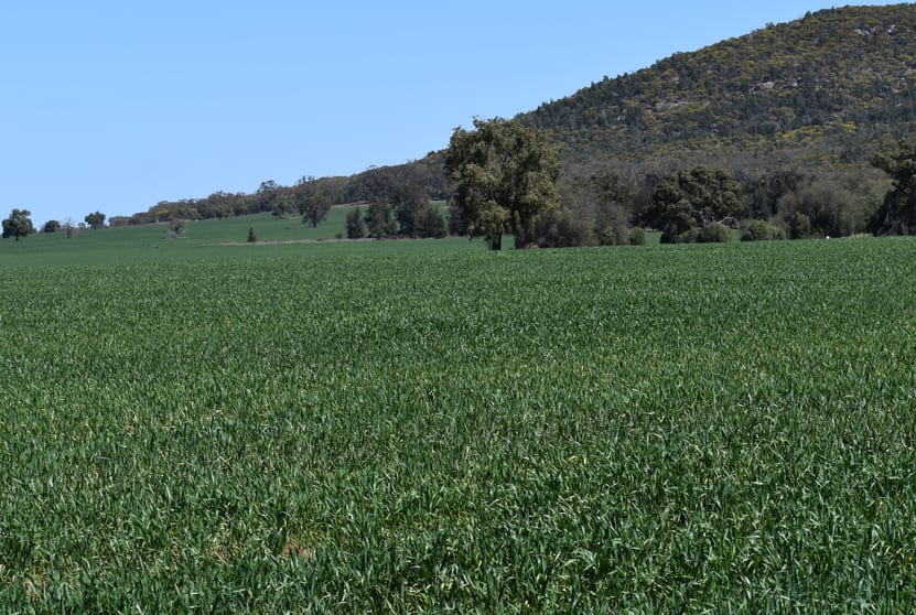 120 Ganantagi Road Yarrabandai NSW 2875 - Image 1