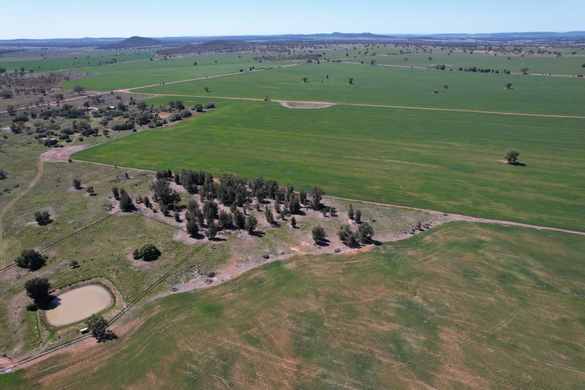 120 Ganantagi Road Yarrabandai NSW 2875 - Image 3