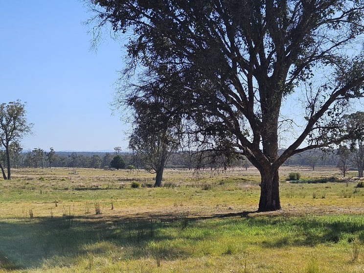 Click to view all images 710-712 Sinclairs RD Munro VIC 3862 - Image 2