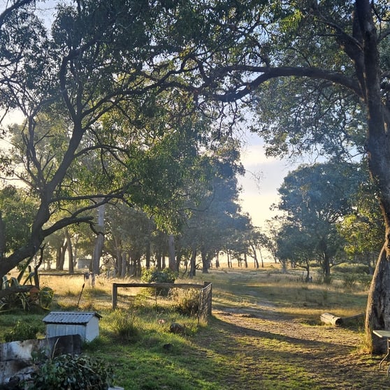 Click to view all images 710-712 Sinclairs RD Munro VIC 3862 - Image 3