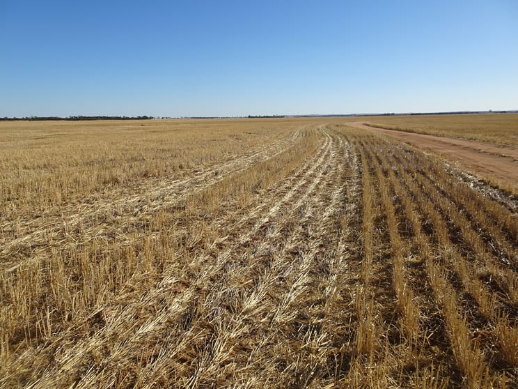 Click to view all images 3397 Bendering Road Kondinin WA 6367 - Image 1