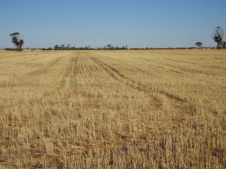Click to view all images 3397 Bendering Road Kondinin WA 6367 - Image 3