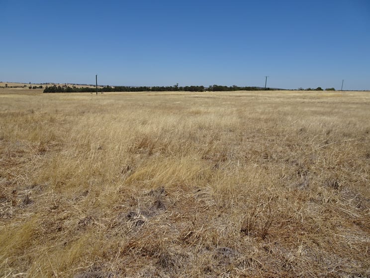 Click to view all images 160 Chittleborough Road Brookton WA 6306 - Image 1