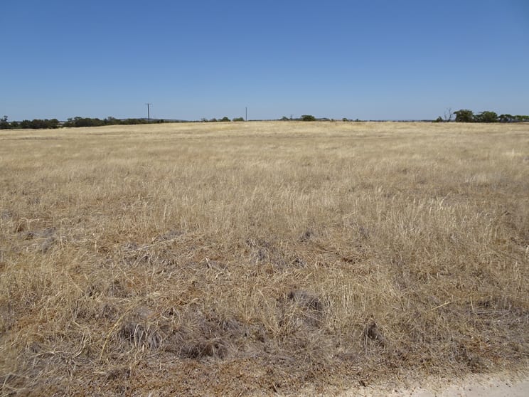 Click to view all images 160 Chittleborough Road Brookton WA 6306 - Image 2