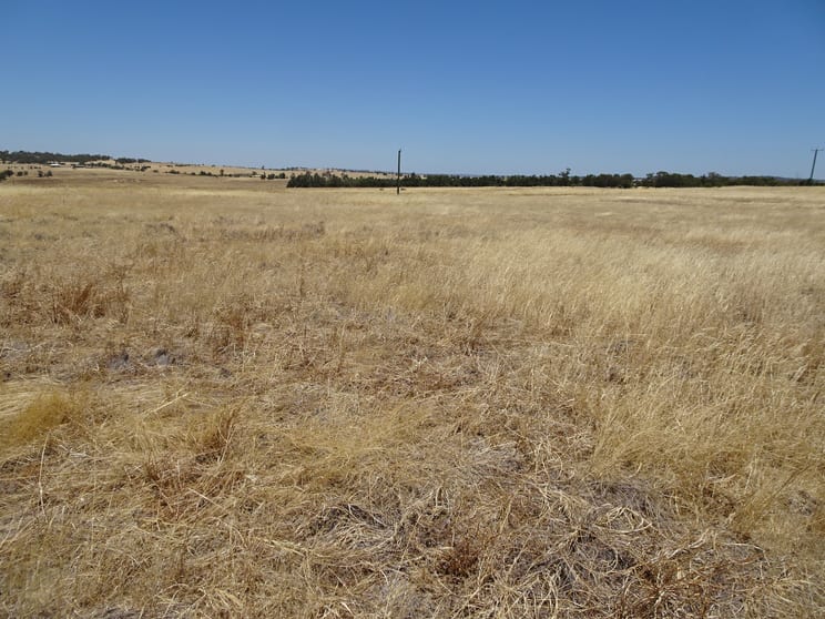 Click to view all images 160 Chittleborough Road Brookton WA 6306 - Image 3