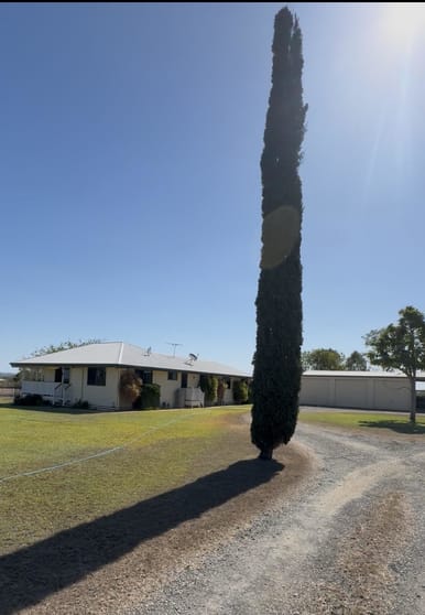 Click to view all images 49 Mckenzie Road Alton Downs QLD 4702 - Image 1