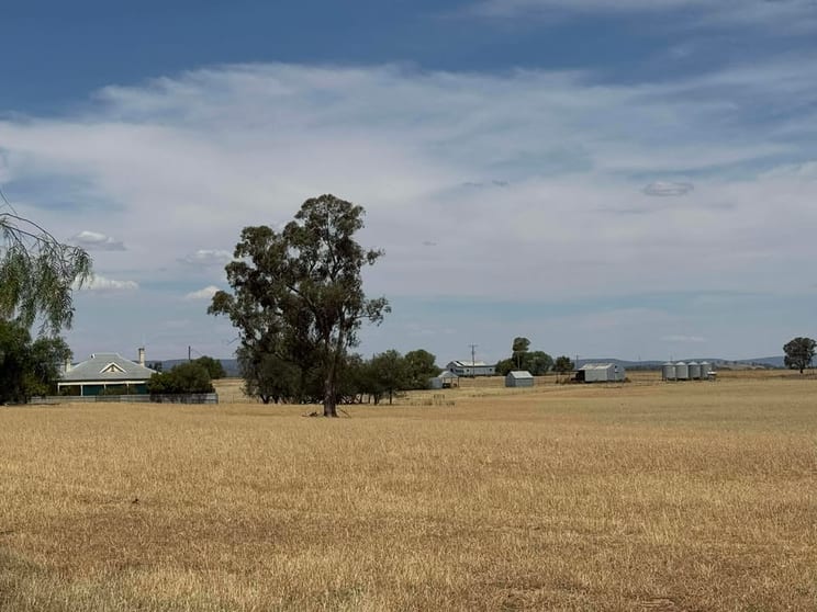 Click to view all images 342 Olieview Road Parkes NSW 2870 - Image 1