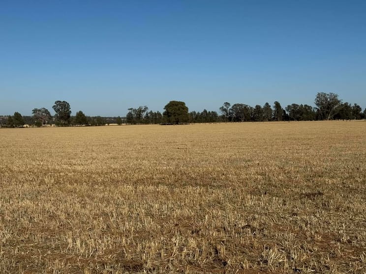 Click to view all images 342 Olieview Road Parkes NSW 2870 - Image 3