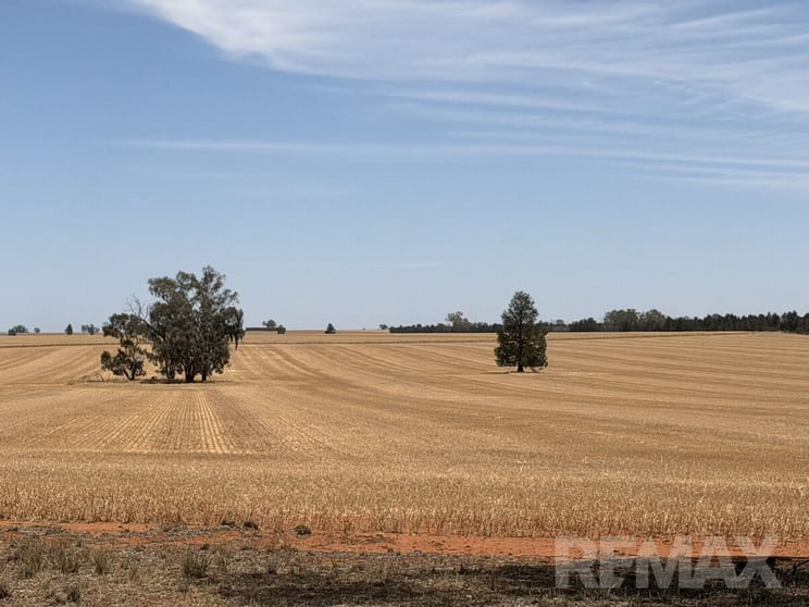 9547 Mahonga Road Urana NSW 2645 - Image 1