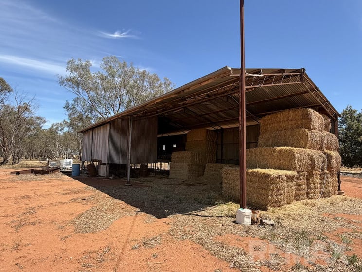 9547 Mahonga Road Urana NSW 2645 - Image 3