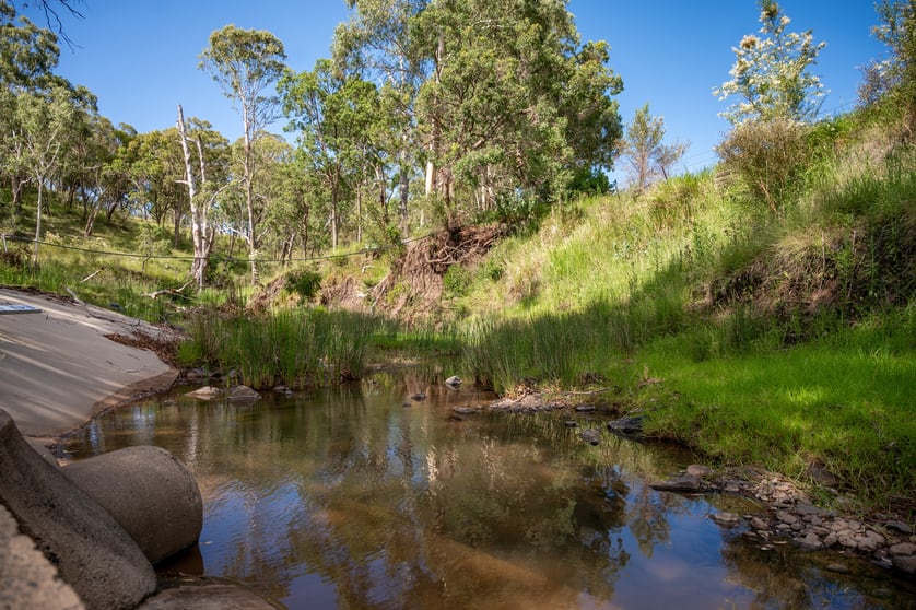 1006 North Branch Road Goomburra QLD 4362 - Image 2