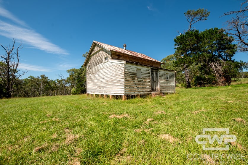 1460 Torrington Road Stannum NSW 2371 - Image 3
