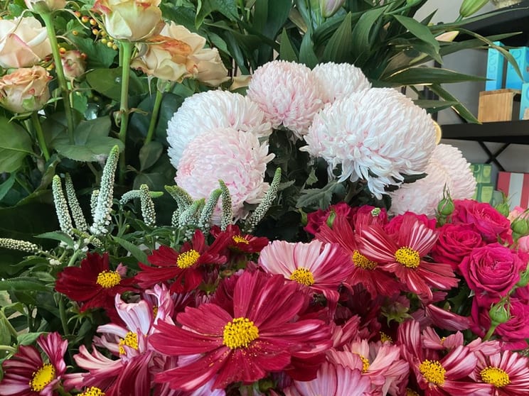 Click to view all images Shop & Retail business for sale in Wantirna South - Image 1
