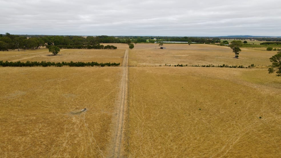 Click to view all images Lot 899 Mount McIntyre Road Kalangadoo SA 5278 - Image 2