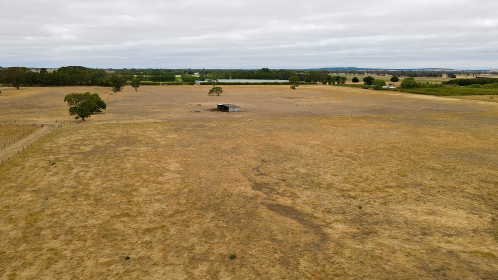 Click to view all images Lot 899 Mount McIntyre Road Kalangadoo SA 5278 - Image 3