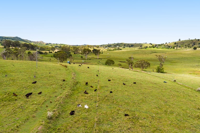 Click to view all images 138 Djuan Road Crows Nest QLD 4355 - Image 2
