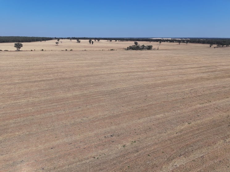 'Wattlevale' 875 Schmidts Lane Gidginbung NSW 2666 - Image 1