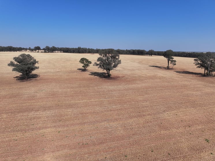 'Wattlevale' 875 Schmidts Lane Gidginbung NSW 2666 - Image 2