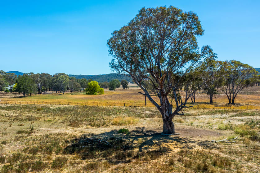 Click to view all images 271 Pyangle Road Rylstone NSW 2849 - Image 3