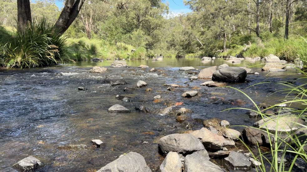 Click to view all images 191 Sheepstation Creek Road Dundurrabin NSW 2453 - Image 2