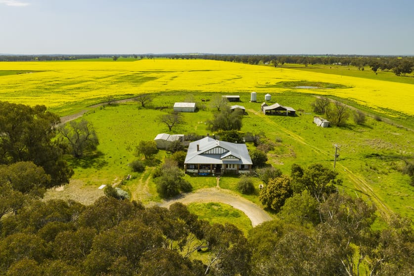 Click to view all images 93 Racecourse Lane Stockinbingal NSW 2725 - Image 1