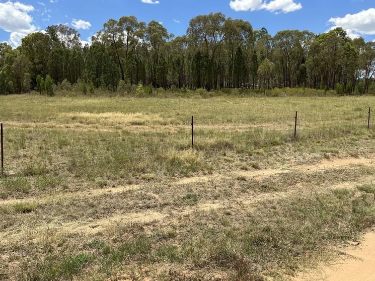 Click to view all images 976 Warkton Coonabarabran NSW 2357 - Image 3